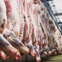 В Башкирии на 25% вырастет производство свинины