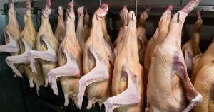 Россельхознадзор ограничил импорт птицеводческой продукции из Польши Россельхознадзор ограничил импорт птицеводческой продукции из Польши