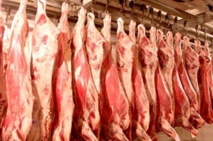 Говяжье мясо оптом напрямую от поставщика 