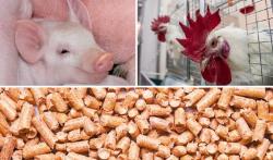 IX отраслевая бизнес-конференция Russian Meat&Feed Industry. Москва, 12 апреля 2019 года IX отраслевая бизнес-конференция Russian Meat&Feed Industry. Москва, 12 апреля 2019 года