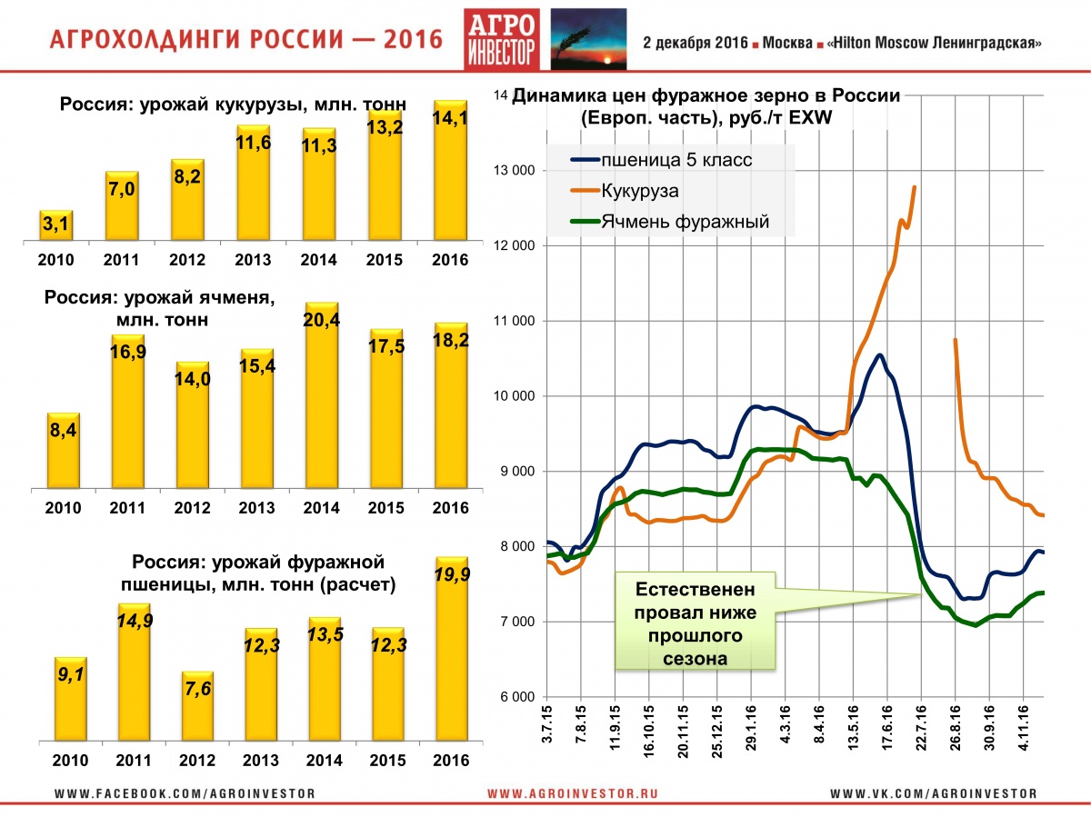 Петриченко_5.jpg