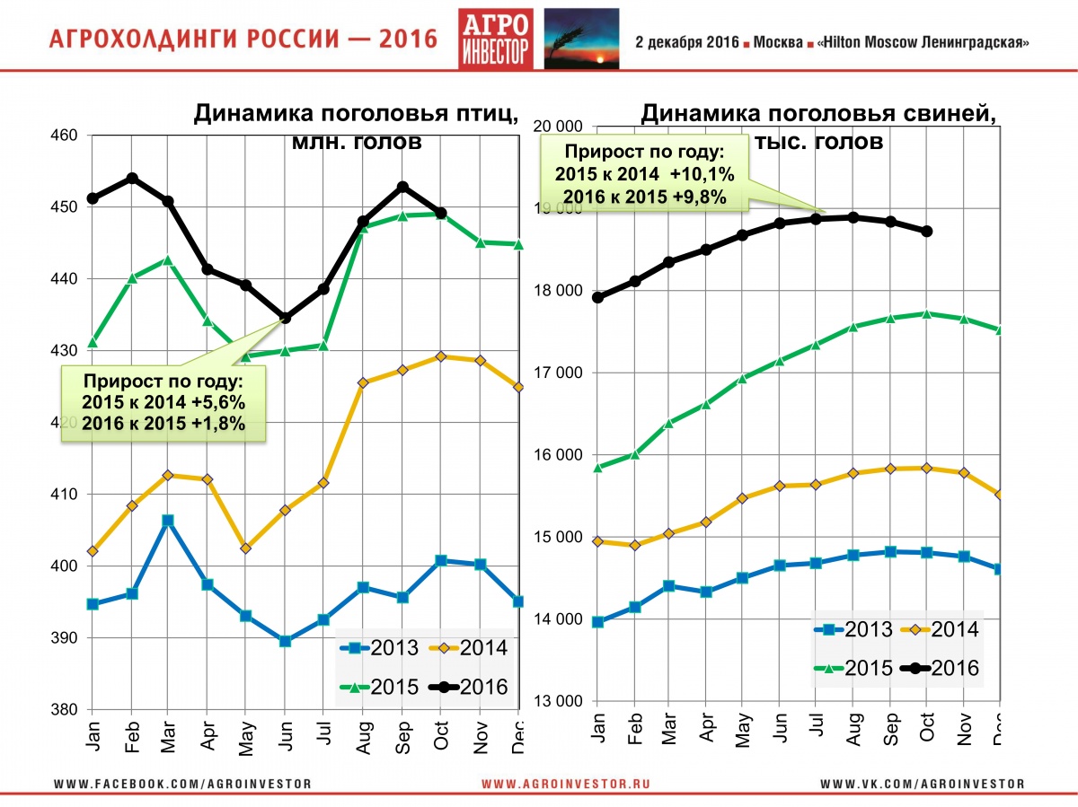 Петриченко_7.jpg