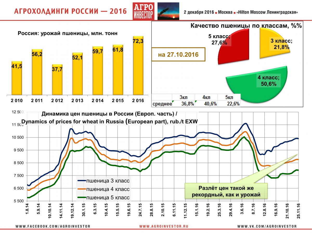 Петриченко_4.jpg