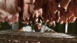 Казахстан увеличил импорт мяса