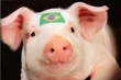 Россия в марте может восстановить поставки свинины из Бразилии