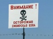 В Узбекистане 31 человек заразился сибирской язвой 