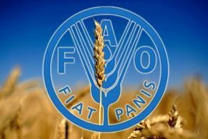 ФАО оценила снижение цен на продовольствие в 2018 г. в 3,5%