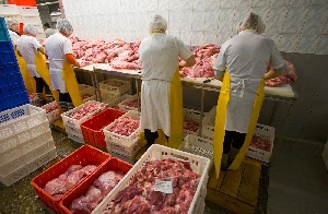 Крупные магазины и рестораны провели переговоры с башкирскими поставщиками мяса