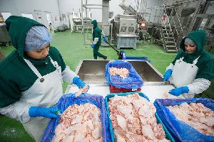 ЕС ввел ограничения на поставки из России мяса птицы и продукции из него  
