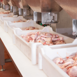 InfoLine: с 2010 по 2021 год в России удалось полностью заместить импорт свинины