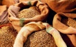 Цены на зерно в рамках закупочных интервенций движутся вниз