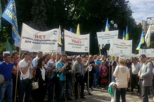 Сотни человек пикетируют Верховную Раду Украины с требованием не отменять спецрежим НДС для животноводства