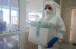 Азербайджану не грозит птичий грипп из Китая - Госветслужба