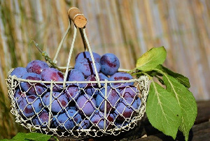 Минсельхоз обсуждает с Яндексом и Ozon реализацию фермерской продукции