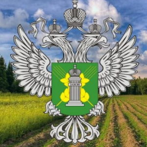 Россельхознадзор обвинил иностранных производителей ветпрепаратов в уклонении от инспектирования производств Россельхознадзор обвинил иностранных производителей ветпрепаратов в уклонении от инспектирования производств