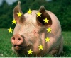 Действительно ли Европа собирается продолжать производство свиней?