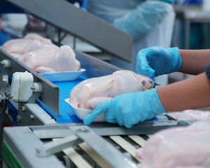 Рост птицеводства замедлится в 3,5 раза