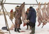 В сельхозкооперативе "Тазовский" завершается убойная кампания