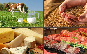 Беларусь увеличила экспорт сельхозпродукции и продовольствия до 3,2 млрд долларов