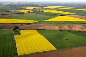 Агропромышленный холдинг будет создан в Ульяновской области