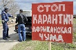 Из-за африканской чумы Украина и Россия собирают экстренное заседание Таможенного союза
