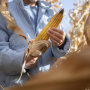 РСХБ: количество вакансий в агробизнесе выросло на 19% за год