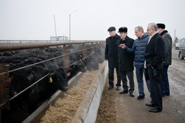 Крупнейший в Воронежской области мясоперерабатывающий комплекс даст первую продукцию в феврале 2014 года