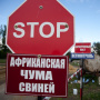 В Калужской области повышают защиту свинокомплексов и птицефабрик от заразных болезней животных буферными зонами