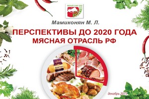 Презентация Мушега Мамиконяна: "Перспективы до 2020 г. Мясная отрасль РФ"
