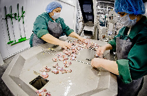 Челябинская область увеличит экспорт сельхозпродукции втрое