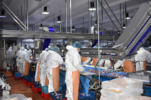 В Ростовской области возобновлена работа завода по убою и переработке индейки