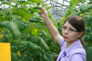 Через 10 лет  в российских хозяйствах появятся ГМО-агрономы и сити-фермеры