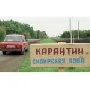 Ввоз в Кузбасс алтайского мяса запрещен