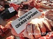 Предотвращен ввоз на территорию Ямала 1,5 тонн недоброкачественного мяса Предотвращен ввоз на территорию Ямала 1,5 тонн недоброкачественного мяса