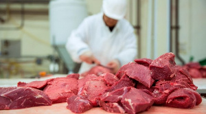 В Костанайской области Казахстана построят завод по производству говядины