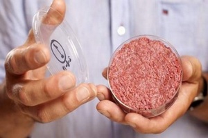 Эксперт: Искусственно выращенное мясо станет привычным продуктом в ближайшие 10 лет 