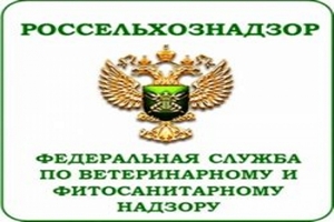 Россельхознадзор: участились случаи нарушения транзита животноводческой продукции через Р