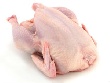 Иркутские оперативники раскрыли крупное хищение бройлерной продукции