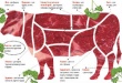 Американская экспортная федерация выпустила Международный номенклатурный справочник по говяжьим отрубам