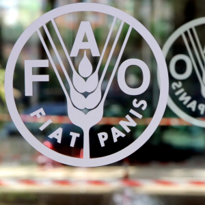 ФАО: мир может столкнуться с кризисом доступа к продовольствию
