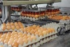 Тюменская область приобретет птицефабрику