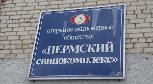 Пермский свинокомплекс дополнительно выпустил 14 млн акций
