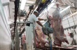 «Забойная» проблема нижнекамских фермеров: скот придется везти в город