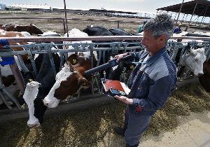 Россельхознадзор встает на защиту ВТО. Ветеринарный контроль подстраивают под нормы международной торговли