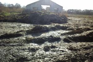 Сельхозпредприятия Погарского и Почепского районов Брянской области обязали за неделю избавиться от биологических отходов 