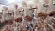 К концу года объем иранского экспорта мяса птицы достигнет 100 тыс. тонн