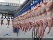 Чилийские куриные компании оштрафованы, Ассоциация птицеводов распущена