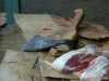 Саратов: в целях профилактики ящура мясо без документов будут сразу же уничтожать