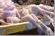 В Калининграде при ввозе курятины из Голландии выявлены нарушения ветеринарно-санитарных требований