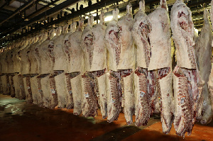 20 тонн подозрительного мяса отправилось из Ивановской области в Кировскую